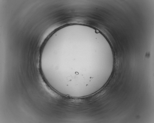 X0000112151131200909041057