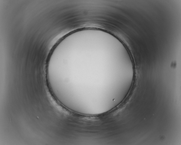 X0000112151133200909041057