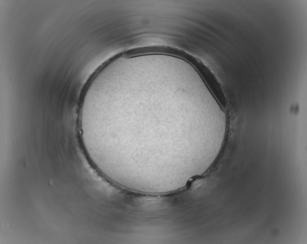 X0000112151134200909041057