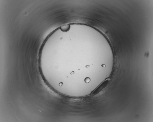 X0000112151135200909041057