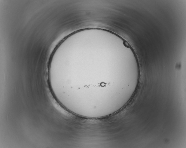 X0000112151136200909041057