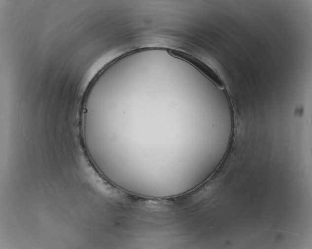 X0000112151138200909041057