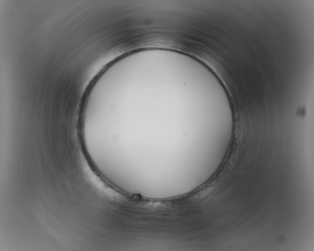 X0000112151139200909041057