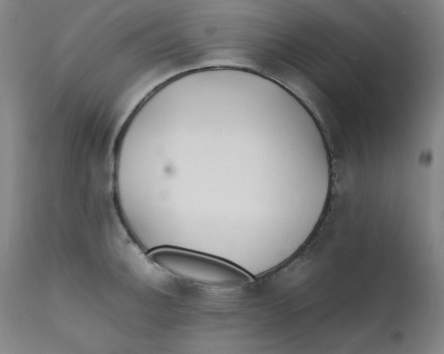 X0000112151140200909041057