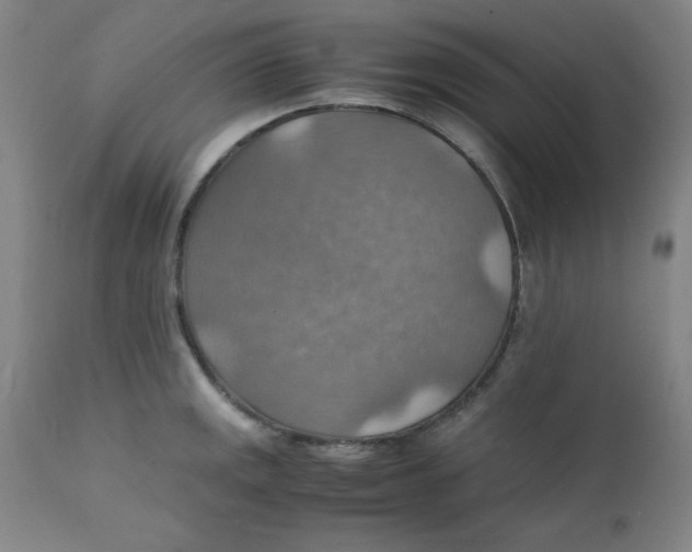 X0000112151141200909041057