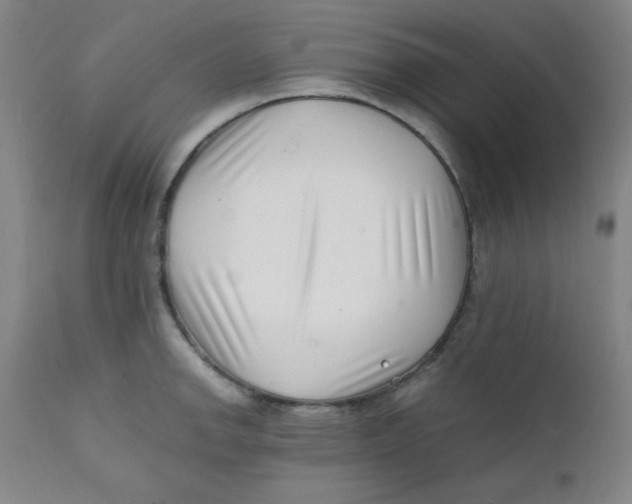 X0000112151142200909041057