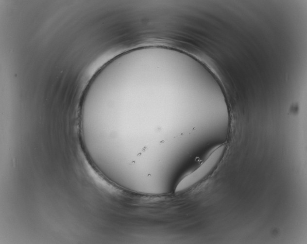 X0000112151143200909041057