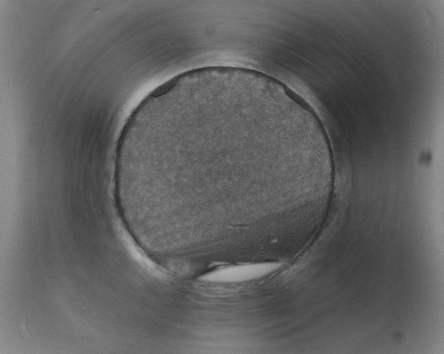 X0000112151144200909041057