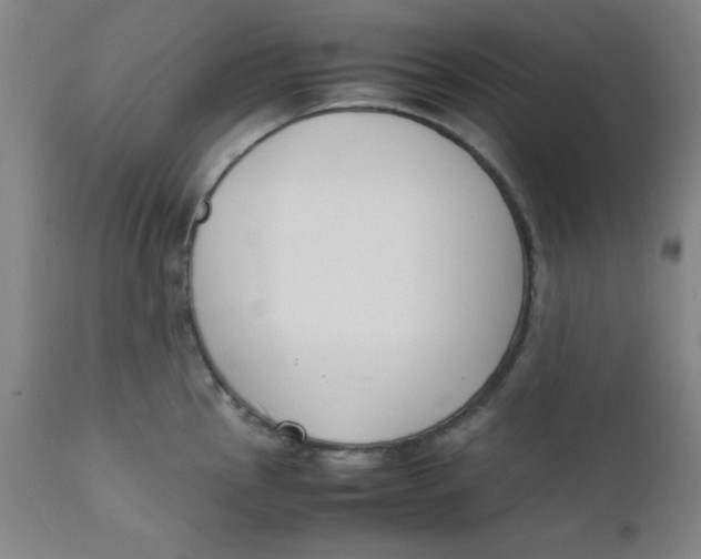 X0000112151145200909041057