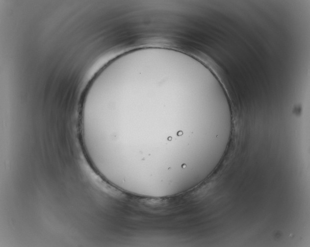 X0000112151147200909041057