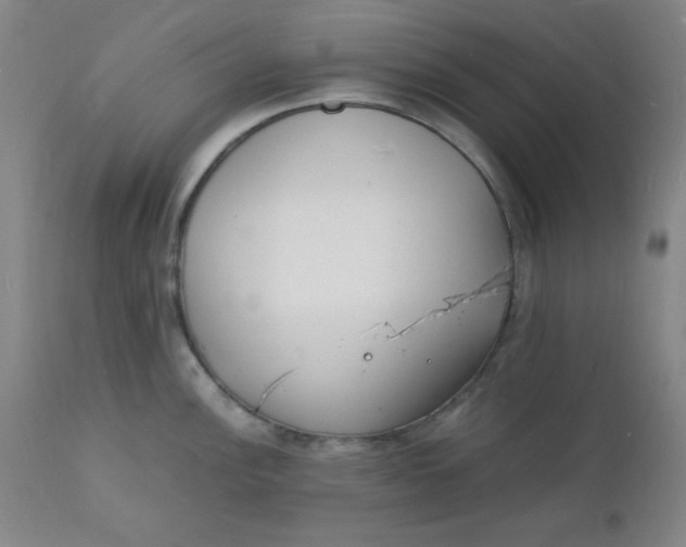 X0000112151148200909041057