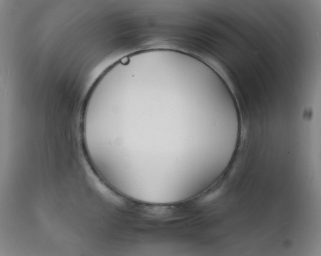 X0000112151149200909041057