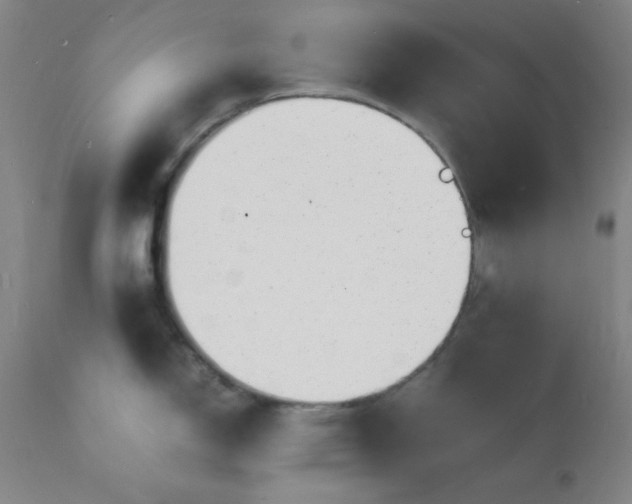 X0000112151150200909041057