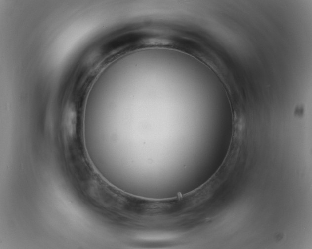 X0000112151151200909041057