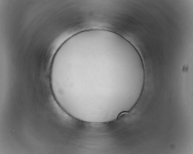 X0000112151152200909041057