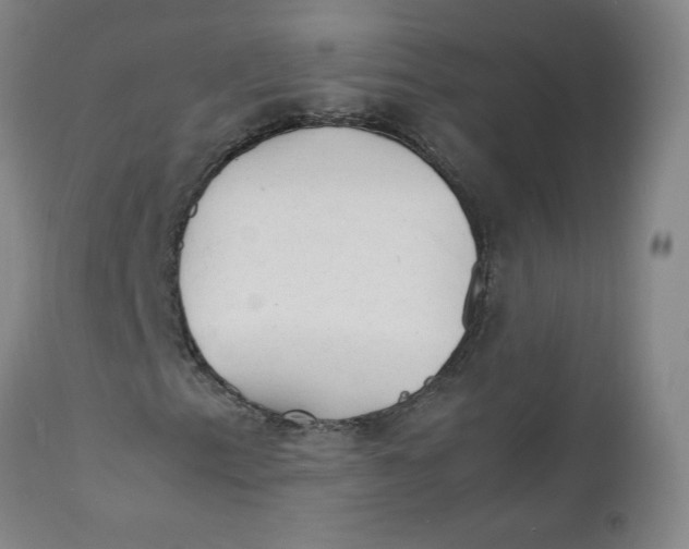 X0000112151153200909041056