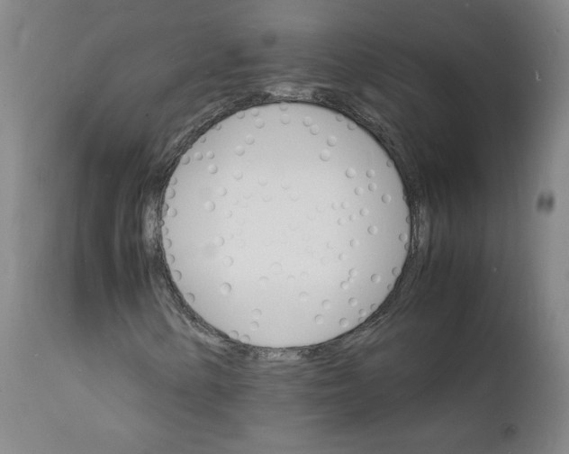 X0000112151154200909041056