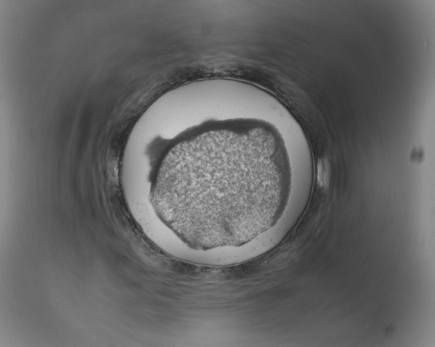 X0000112151155200909041056