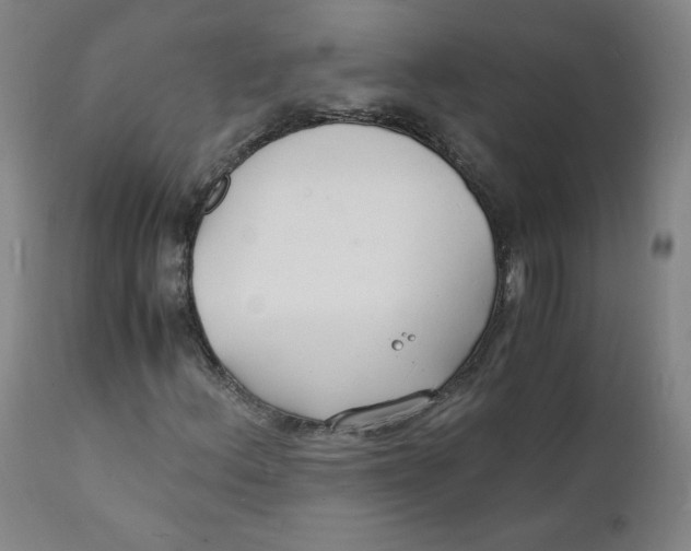 X0000112151156200909041056