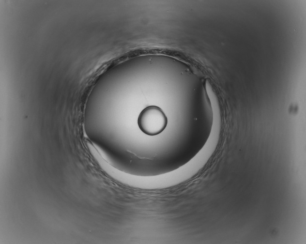 X0000112151157200909041056