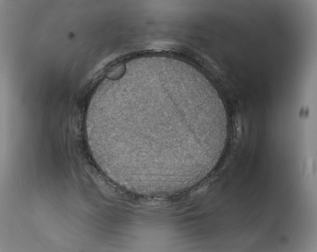 X0000112151158200909041056