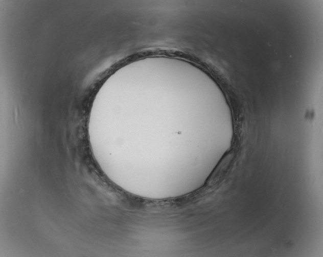 X0000112151159200909041056