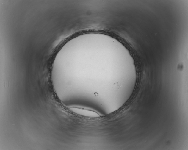 X0000112151160200909041056