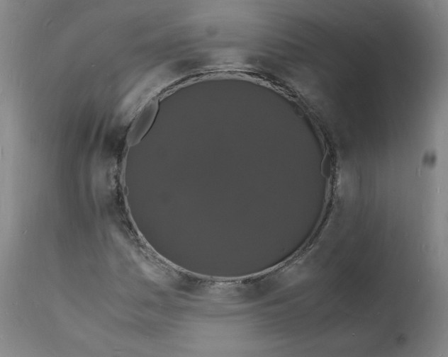 X0000112151161200909041056