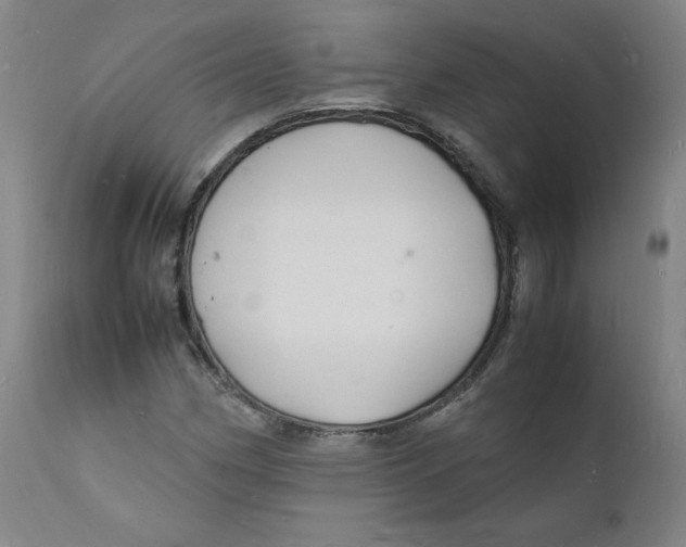 X0000112151162200909041056