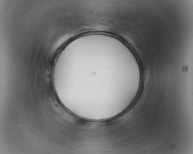 X0000112151163200909041056