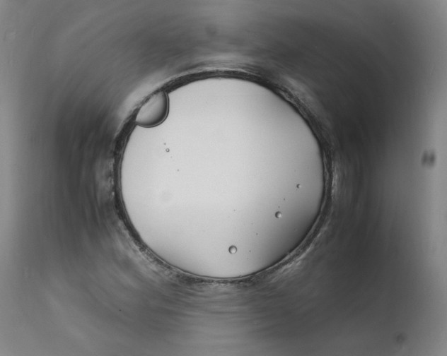 X0000112151164200909041056