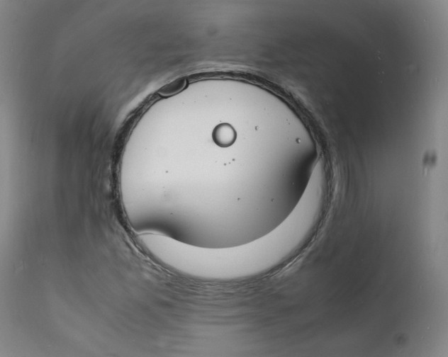 X0000112151165200909041056