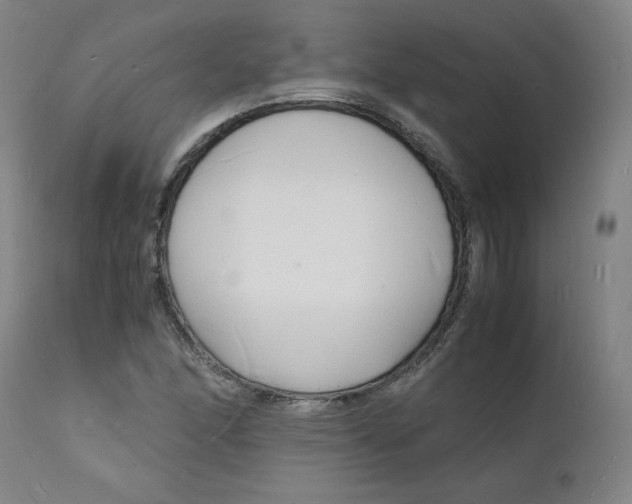 X0000112151166200909041056