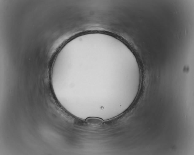 X0000112151167200909041056