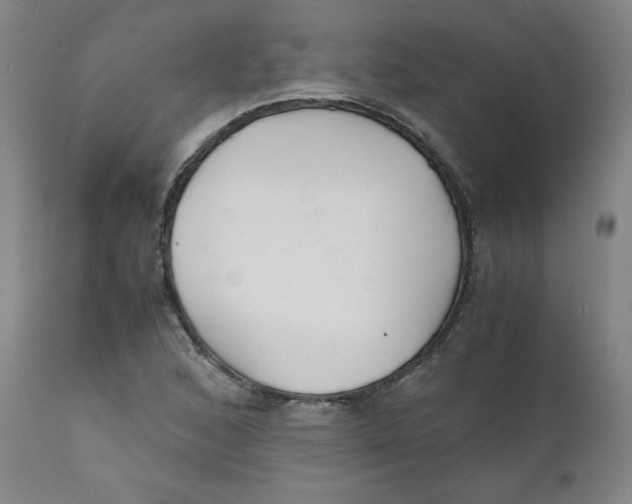 X0000112151168200909041056