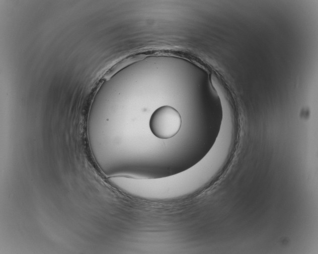 X0000112151169200909041056