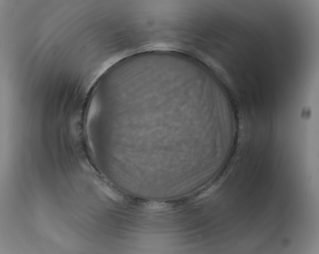 X0000112151170200909041056