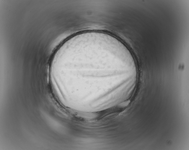 X0000112151171200909041056