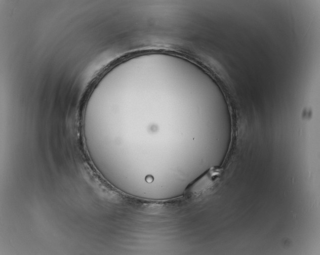 X0000112151172200909041056