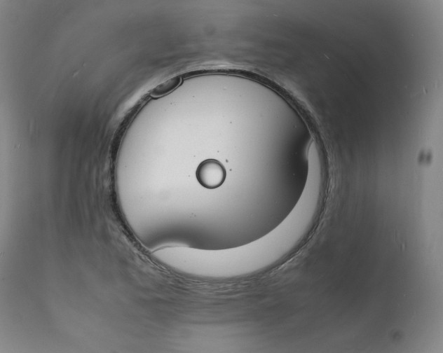 X0000112151173200909041056