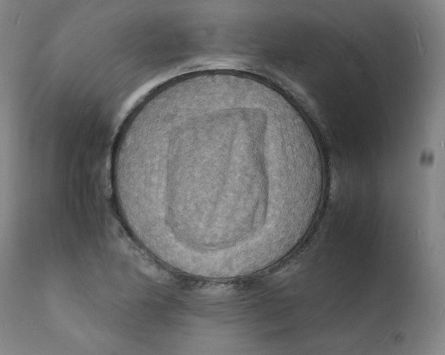 X0000112151174200909041056