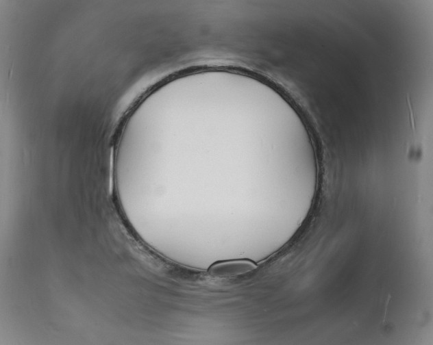 X0000112151175200909041056