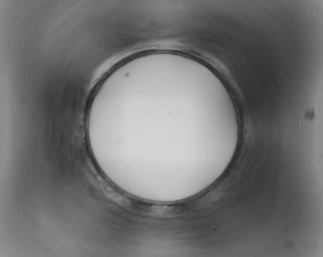 X0000112151176200909041056