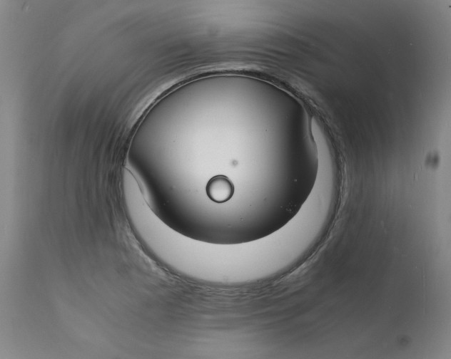 X0000112151177200909041056