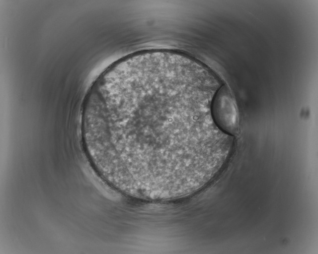 X0000112151179200909041056