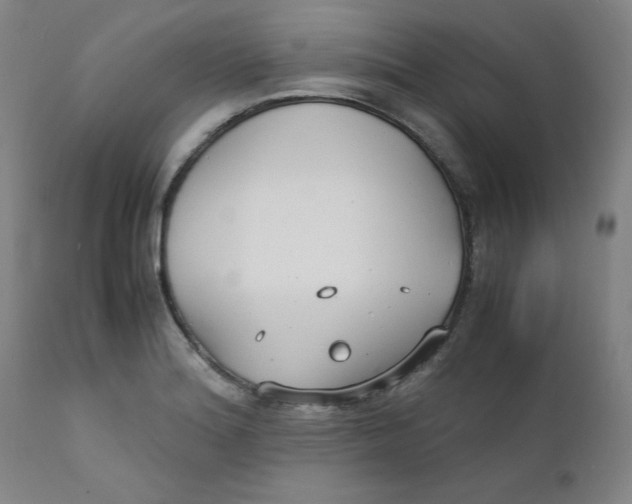 X0000112151180200909041056