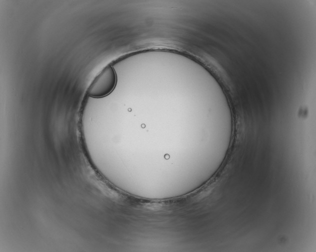 X0000112151182200909041056