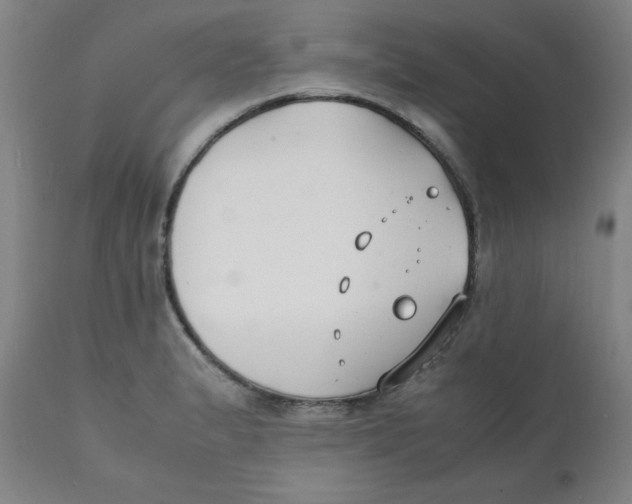 X0000112151183200909041056