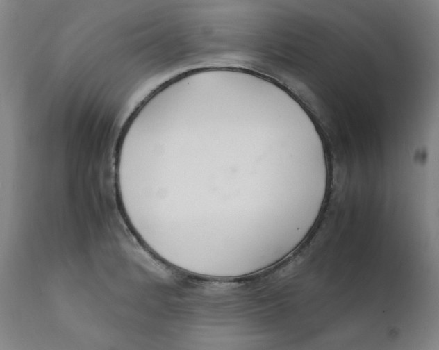 X0000112151184200909041056