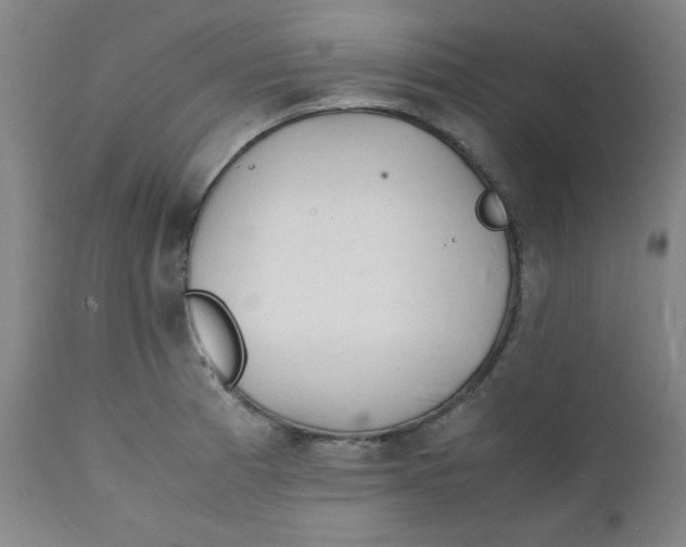 X0000112151185200909041056